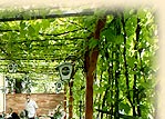 Unser Gastgarten