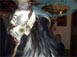 Bild2