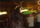Bild3