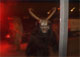 Bild7